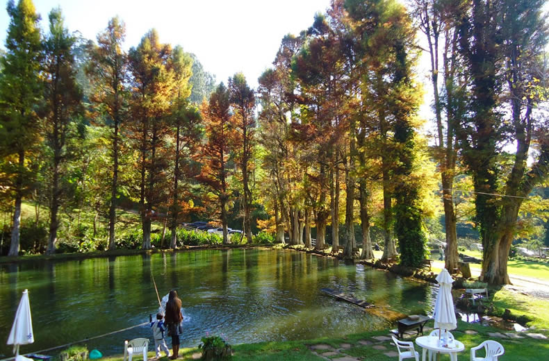 Pousadas em Santo Antonio do Pinhal SP Pousadas em Santo Antonio do Pinhal SP